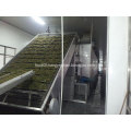 Garlic slice Mesh Belt Drying Machine